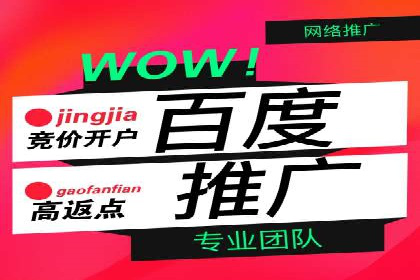 百度推广的成功案例：从零到一的突破